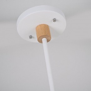 Люстра на штанге Imperiumloft TURNA White TURNA-DBL01 в Копейске - kopejsk.ok-mebel.com | фото 11
