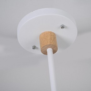 Люстра на штанге Imperiumloft TURNA White TURNA-DBL01 в Копейске - kopejsk.ok-mebel.com | фото 7
