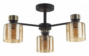 Люстра на штанге Lumion ARLIN 5643/3C в Копейске - kopejsk.ok-mebel.com | фото