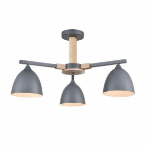 Люстра на штанге Lumion Colange 8096/3C в Копейске - kopejsk.ok-mebel.com | фото 2