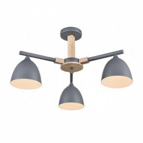 Люстра на штанге Lumion Colange 8096/3C в Копейске - kopejsk.ok-mebel.com | фото 3