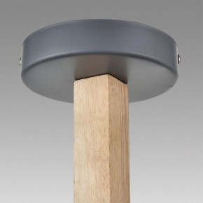 Люстра на штанге Lumion Colange 8096/3C в Копейске - kopejsk.ok-mebel.com | фото 9