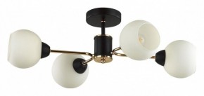 Люстра на штанге Lumion KODI 5646/4C в Копейске - kopejsk.ok-mebel.com | фото