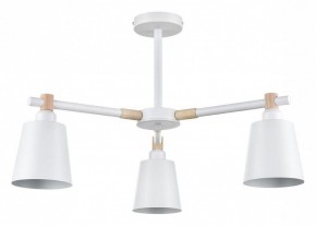 Люстра на штанге Lumion Rosalina 8097/3C в Копейске - kopejsk.ok-mebel.com | фото
