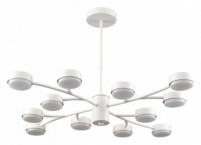 Люстра на штанге Lumion TORINA 8265/12 в Копейске - kopejsk.ok-mebel.com | фото