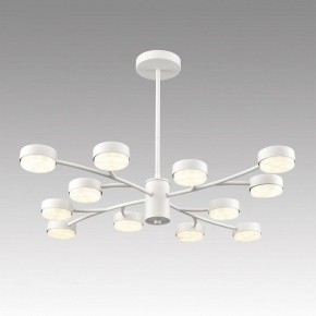 Люстра на штанге Lumion TORINA 8265/12 в Копейске - kopejsk.ok-mebel.com | фото 3