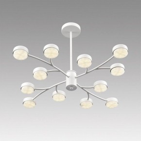 Люстра на штанге Lumion TORINA 8265/12 в Копейске - kopejsk.ok-mebel.com | фото 5