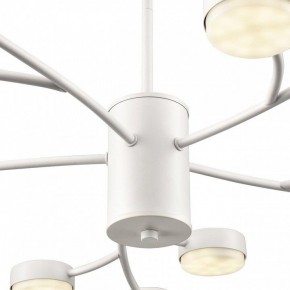 Люстра на штанге Lumion TORINA 8265/15 в Копейске - kopejsk.ok-mebel.com | фото 8