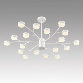 Люстра на штанге Lumion TORINA 8265/18 в Копейске - kopejsk.ok-mebel.com | фото 5