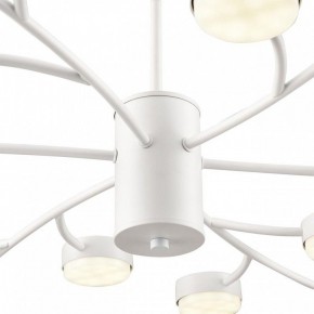 Люстра на штанге Lumion TORINA 8265/18 в Копейске - kopejsk.ok-mebel.com | фото 8