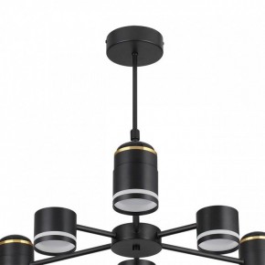 Люстра на штанге Lumion Virsava 8234/6C в Копейске - kopejsk.ok-mebel.com | фото 5