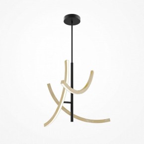 Люстра на штанге Maytoni Wabi MOD428PL-L27BK в Копейске - kopejsk.ok-mebel.com | фото 5