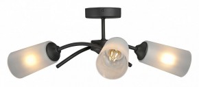 Люстра на штанге Vitaluce V2850 V2850-1/3PL в Копейске - kopejsk.ok-mebel.com | фото