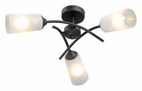 Люстра на штанге Vitaluce V2850 V2850-1/3PL в Копейске - kopejsk.ok-mebel.com | фото 2