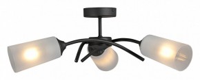 Люстра на штанге Vitaluce V2850 V2850-1/3PL в Копейске - kopejsk.ok-mebel.com | фото 3