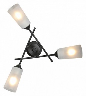 Люстра на штанге Vitaluce V2850 V2850-1/3PL в Копейске - kopejsk.ok-mebel.com | фото 4