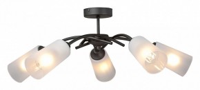 Люстра на штанге Vitaluce V2850 V2850-1/5PL в Копейске - kopejsk.ok-mebel.com | фото