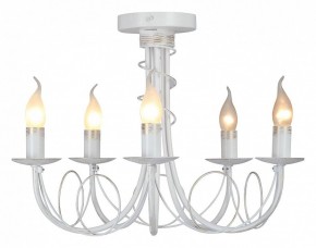 Люстра на штанге Vitaluce V3035 V3035-0/5PL в Копейске - kopejsk.ok-mebel.com | фото 2