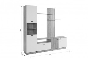 МОДИ Гостиная (модульная) белое дерево в Копейске - kopejsk.ok-mebel.com | фото 2