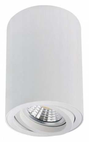 Накладной светильник Arte Lamp Sentry A1566PL-1WH в Копейске - kopejsk.ok-mebel.com | фото