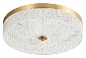 Накладной светильник Arti Lampadari Viro Viro L 1.13.35x9 G в Копейске - kopejsk.ok-mebel.com | фото