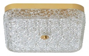Накладной светильник Arti Lampadari Viro Viro L 1.13.36x36 G в Копейске - kopejsk.ok-mebel.com | фото