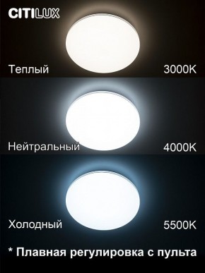 Накладной светильник Citilux Симпла CL714330G в Копейске - kopejsk.ok-mebel.com | фото 4
