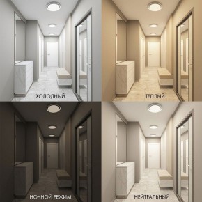 Накладной светильник Denkirs Cany DK6516-WH в Копейске - kopejsk.ok-mebel.com | фото 2