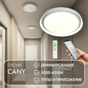 Накладной светильник Denkirs Cany DK6516-WH в Копейске - kopejsk.ok-mebel.com | фото 4