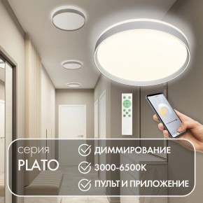 Накладной светильник Denkirs PLATO DK6511-WH/1 в Копейске - kopejsk.ok-mebel.com | фото 4