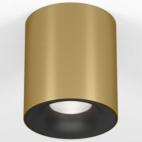 Накладной светильник Elektrostandard Primo 25116/LED в Копейске - kopejsk.ok-mebel.com | фото 2