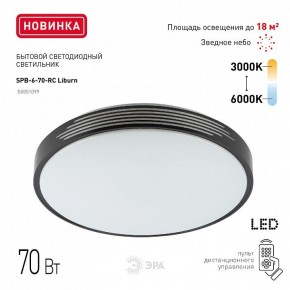 Накладной светильник Эра Классик SPB-6-70-RC Liburn в Копейске - kopejsk.ok-mebel.com | фото 10