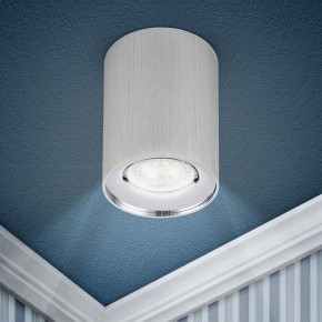 Накладной светильник Эра  OL1 GU10 SL/CH в Копейске - kopejsk.ok-mebel.com | фото 3