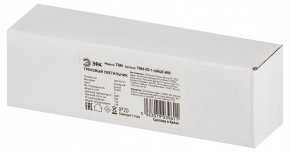 Накладной светильник Эра  TRM-S5-1-6W4K-WH в Копейске - kopejsk.ok-mebel.com | фото 6
