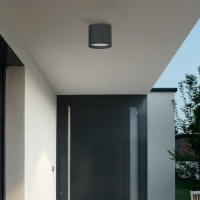Накладной светильник Favourite Fantum 4663-1U в Копейске - kopejsk.ok-mebel.com | фото 3