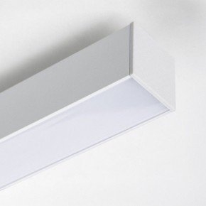 Накладной светильник Lightstar Lilla 202136 в Копейске - kopejsk.ok-mebel.com | фото 4