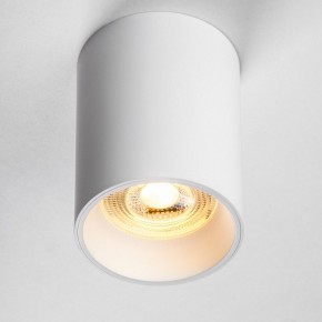 Накладной светильник Lightstar Rullo 213436 в Копейске - kopejsk.ok-mebel.com | фото 2