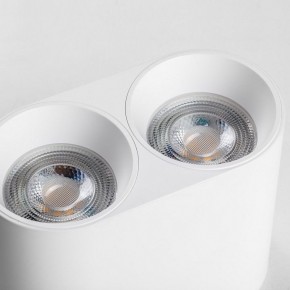 Накладной светильник Lightstar Rullo 213466 в Копейске - kopejsk.ok-mebel.com | фото 6