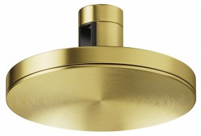 Накладной светильник Maytoni Plato TR152-1-7W4K-BS в Копейске - kopejsk.ok-mebel.com | фото