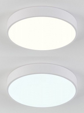 Накладной светильник Natali Kovaltseva  LED LAMPS 81111/5C в Копейске - kopejsk.ok-mebel.com | фото 4