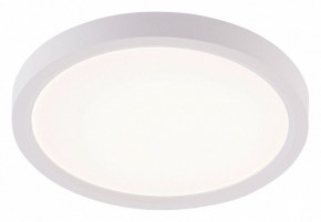 Накладной светильник Natali Kovaltseva PLAIN LED LAMPS 81113/1C в Копейске - kopejsk.ok-mebel.com | фото