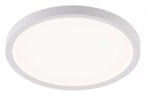 Накладной светильник Natali Kovaltseva PLAIN LED LAMPS 81113/2C в Копейске - kopejsk.ok-mebel.com | фото