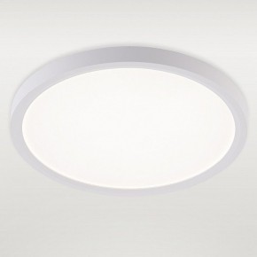 Накладной светильник Natali Kovaltseva PLAIN LED LAMPS 81113/2C в Копейске - kopejsk.ok-mebel.com | фото 2