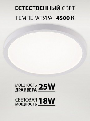 Накладной светильник Natali Kovaltseva PLAIN LED LAMPS 81113/2C в Копейске - kopejsk.ok-mebel.com | фото 3