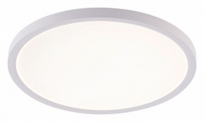 Накладной светильник Natali Kovaltseva PLAIN LED LAMPS 81113/3C в Копейске - kopejsk.ok-mebel.com | фото