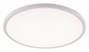 Накладной светильник Natali Kovaltseva PLAIN LED LAMPS 81113/5C в Копейске - kopejsk.ok-mebel.com | фото