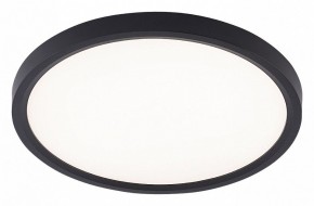 Накладной светильник Natali Kovaltseva PLAIN LED LAMPS 81114/2C в Копейске - kopejsk.ok-mebel.com | фото