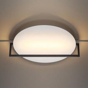 Накладной светильник Odeon Light Next 7015/20WL в Копейске - kopejsk.ok-mebel.com | фото 2