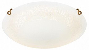 Накладной светильник Sonex Ammonite 7602/DL в Копейске - kopejsk.ok-mebel.com | фото 3
