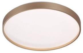Накладной светильник Sonex Gaby 7783/DL в Копейске - kopejsk.ok-mebel.com | фото 3